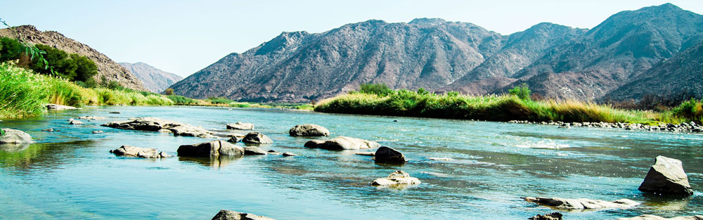 Henkries Dates Orange River Panoram